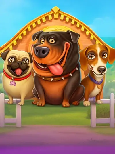 The Dog House